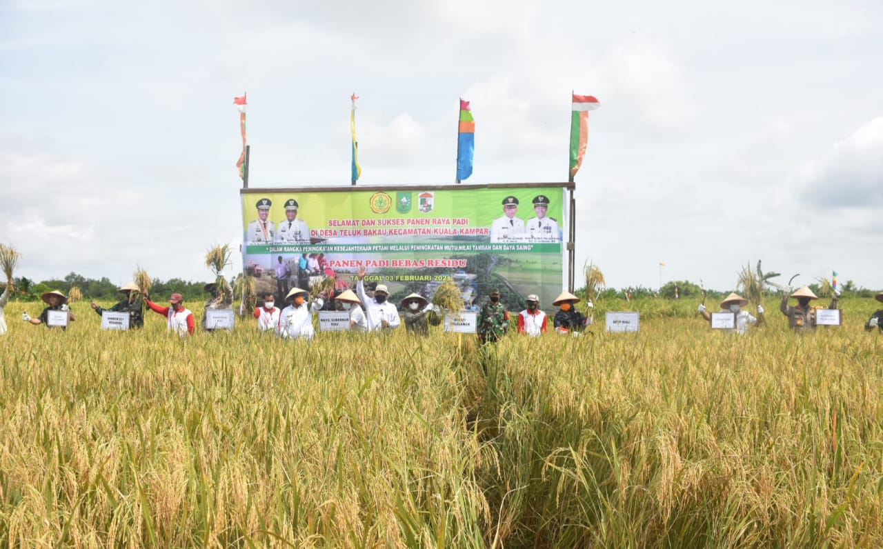 Wagubri Hadiri Panen Raya di Kuala Kampar