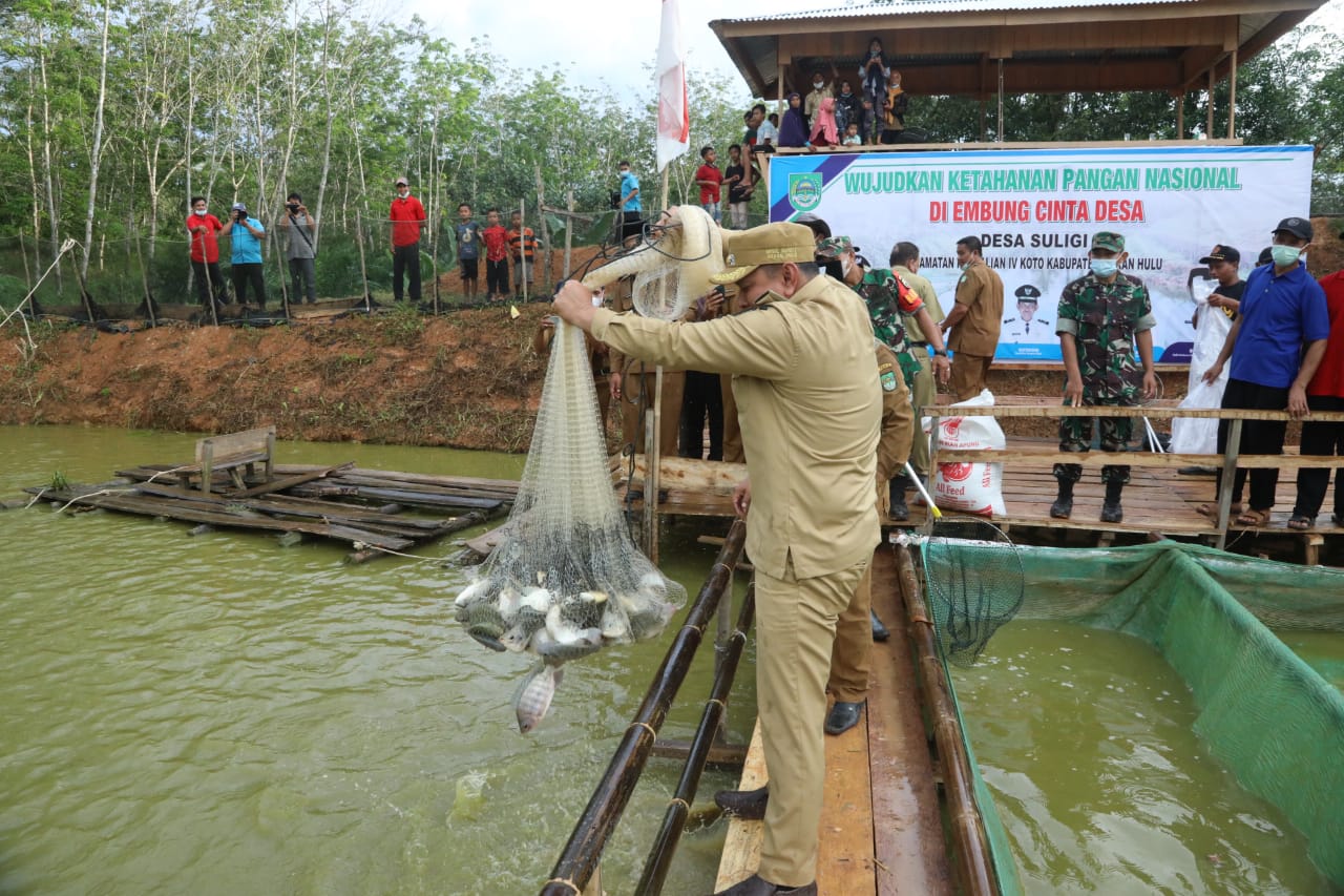 Bupati dan Wabub Rohul hadiri Panen Raya ikan Nila dan emas di Suligi