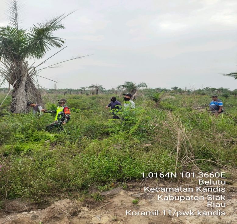Koptu Roni Panjaitan Ajak Warga Kampung Jambai Makmur Jaga Lahannya Dari Karlahut