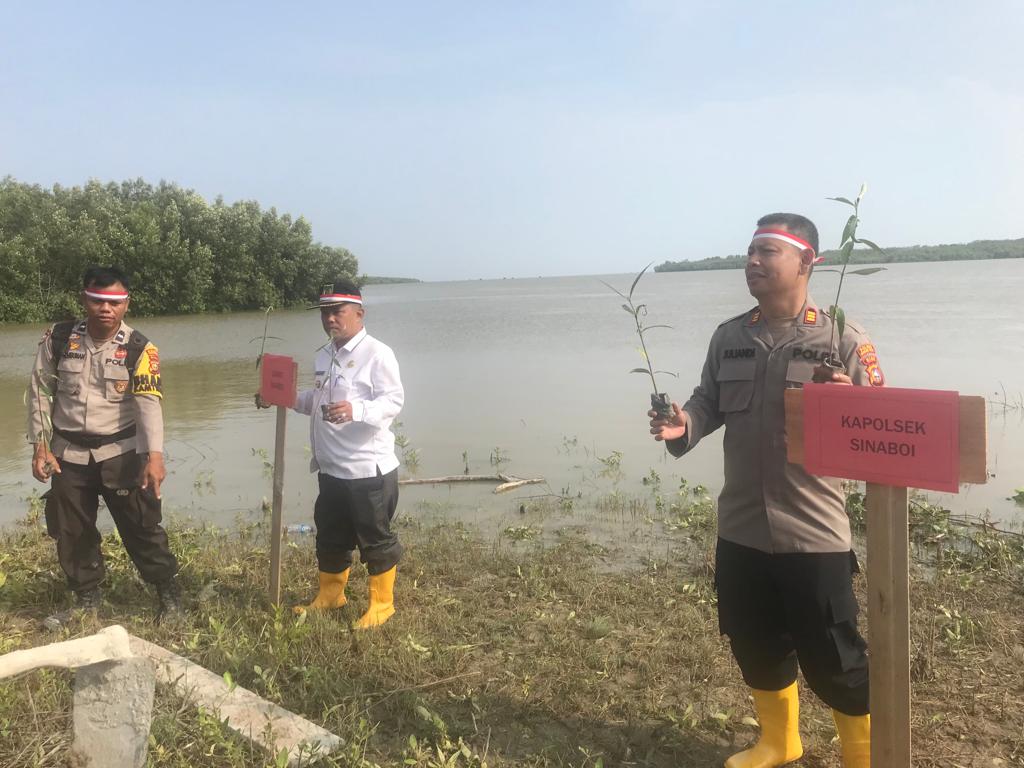 Bersama Upika Kecamatan dan Tokoh Masyarakat, Polsek Sinaboi Aksi Penghijauan di Bibir Pantai