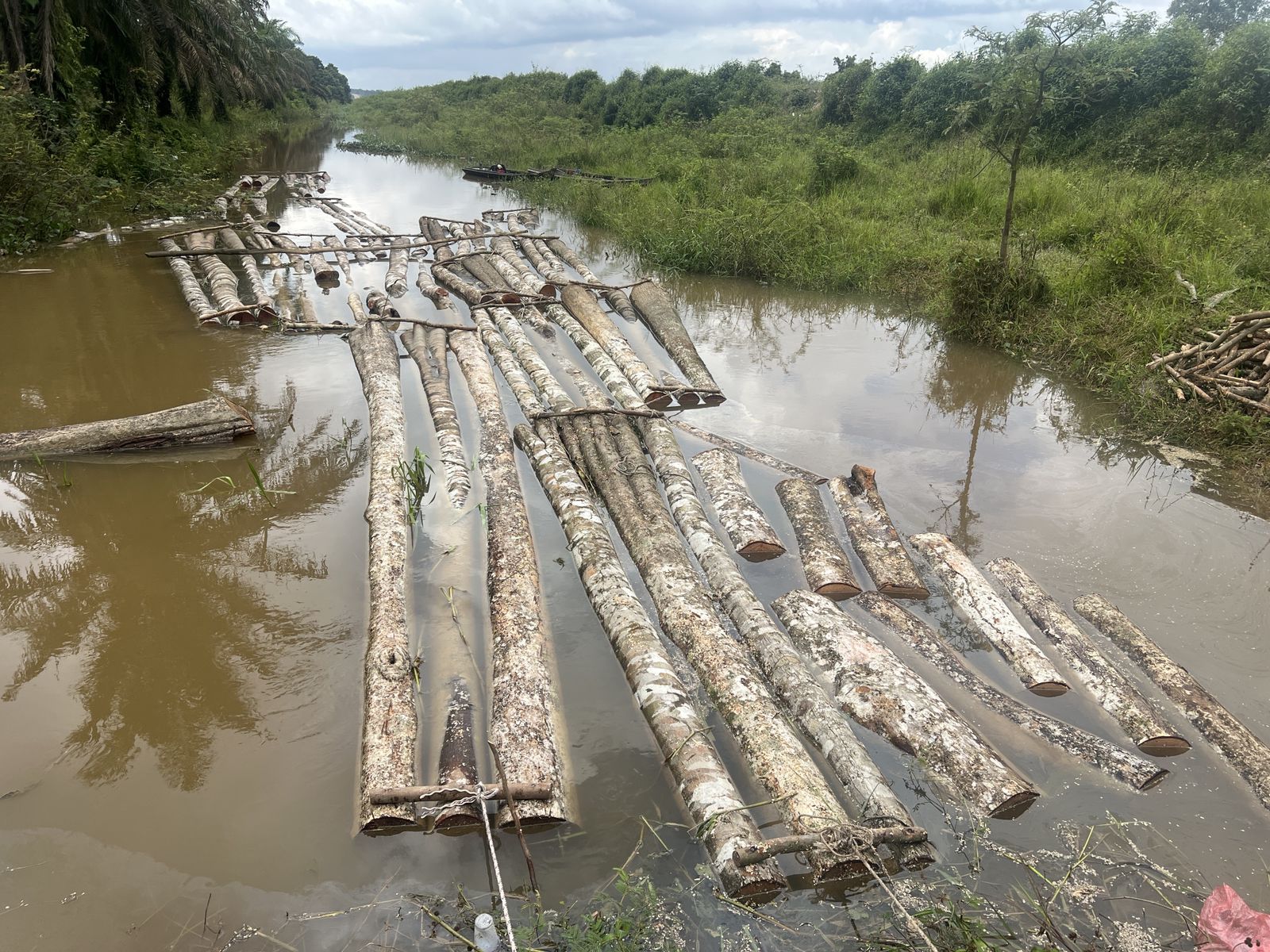 Illegal Logging Digagalkan di Langgam