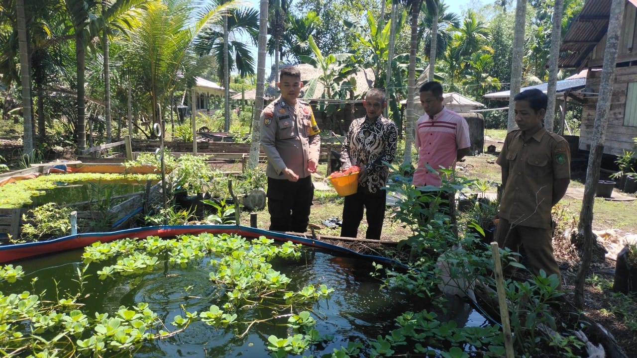 Bhabinkamtibmas Desa Sungai Cina Cek Kelompok Ternak Ikan Mujair untuk Dukung Ketahanan Pangan Rangsang Barat