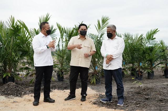 Skor Tata Kelola PTPN Pembentuk PalmCo Kategori Sangat Baik