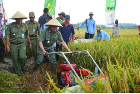 Bupati Herliyan Hadiri Panen Raya Padi di Rupat