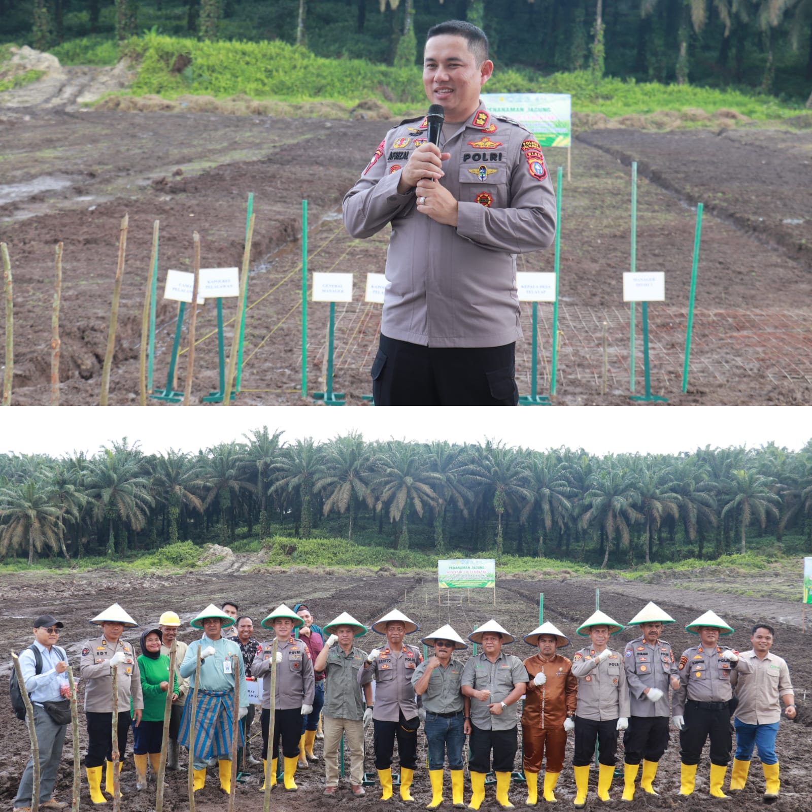Kapolres Pelalawan dan PT ADEI Gelar Kick Off Penanaman Jagung Serentak untuk Ketahanan Pangan