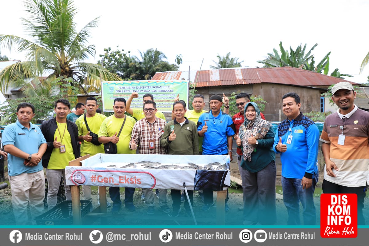 Bupati Rohul hadiri Panen Perdana Ikan  Kelompok ternak ikan Maju Desa Giti
