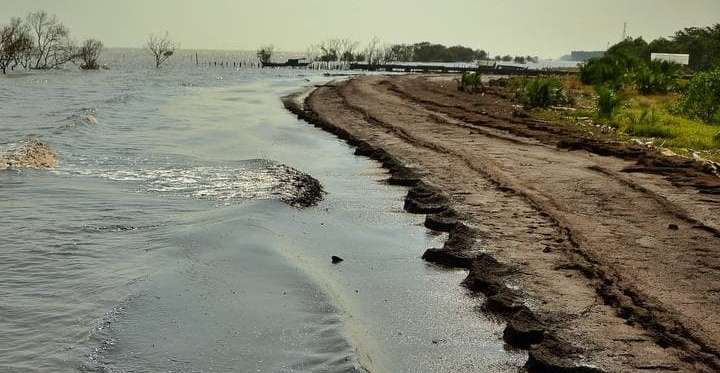 139 Kilometer Abrasi di Riau Sudah Masuk RPJMN