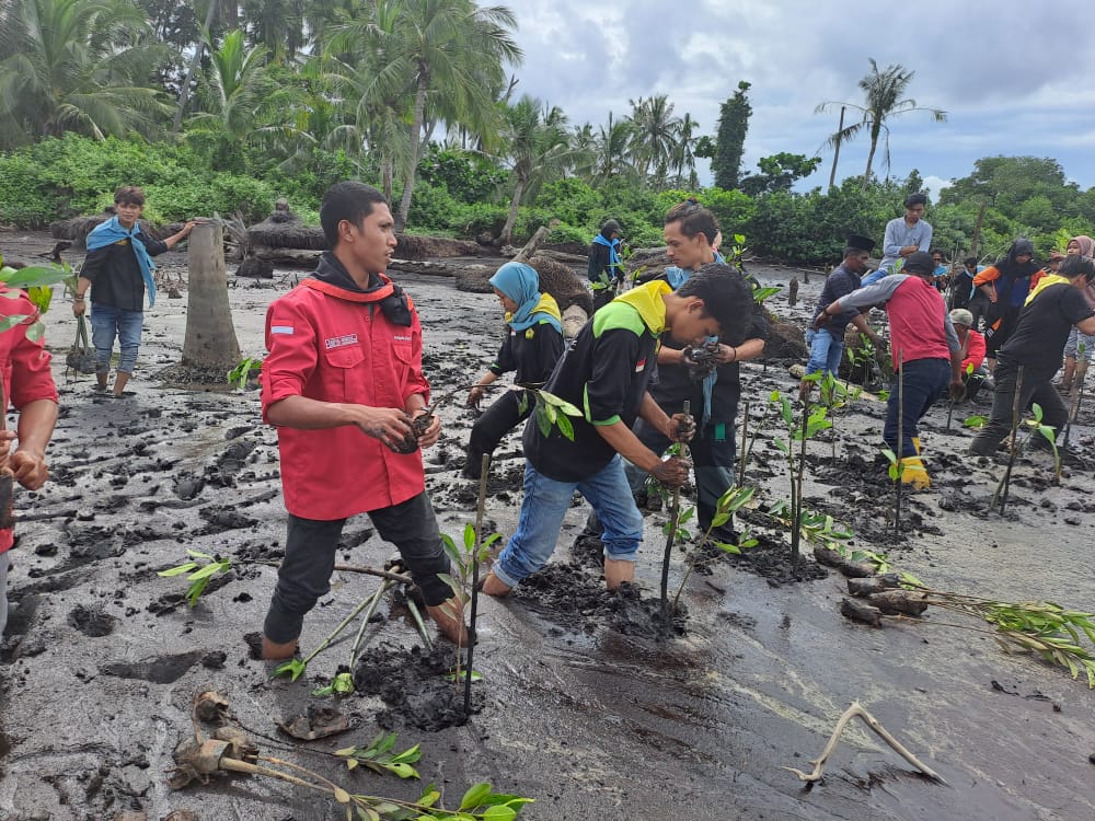 Mapala Laksamana Adakan Seminar dan Penanaman Magrove di Pantai Madina Desa Pambang Pesisir