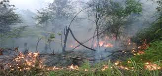 Terdeteksi 208 Hotspot Di Riau