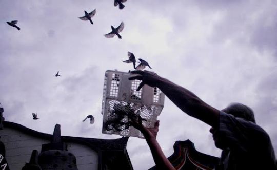 Saat Imlek, Warga Tionghoa Sebut Melepas Burung Bermakna Untuk Membuang Sial