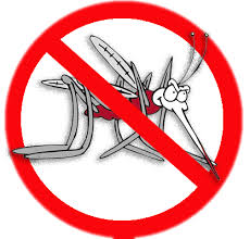  Januari - Agustus 39 kasus DBD di Meranti, Kasus Terbesar di kecamatan Merbau