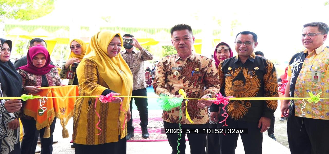 Bupati Rohil Resmikan UPT Instalasi Farmasi Dinas Kesehatan