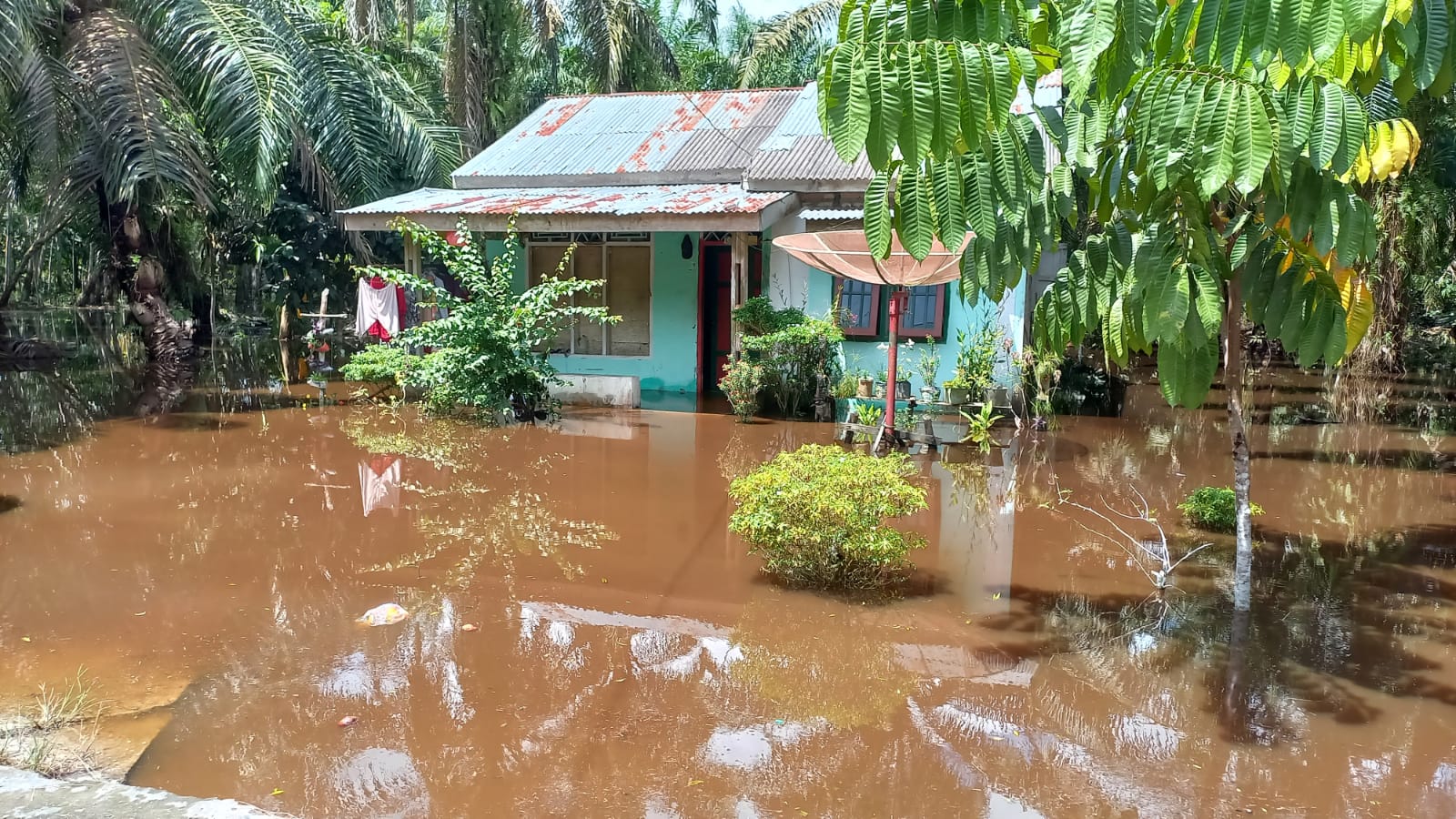 Hari ke 9 Banjir Dikecamatan Siak Kecil, BPBD Bengkalis Evakuasi 30 KK