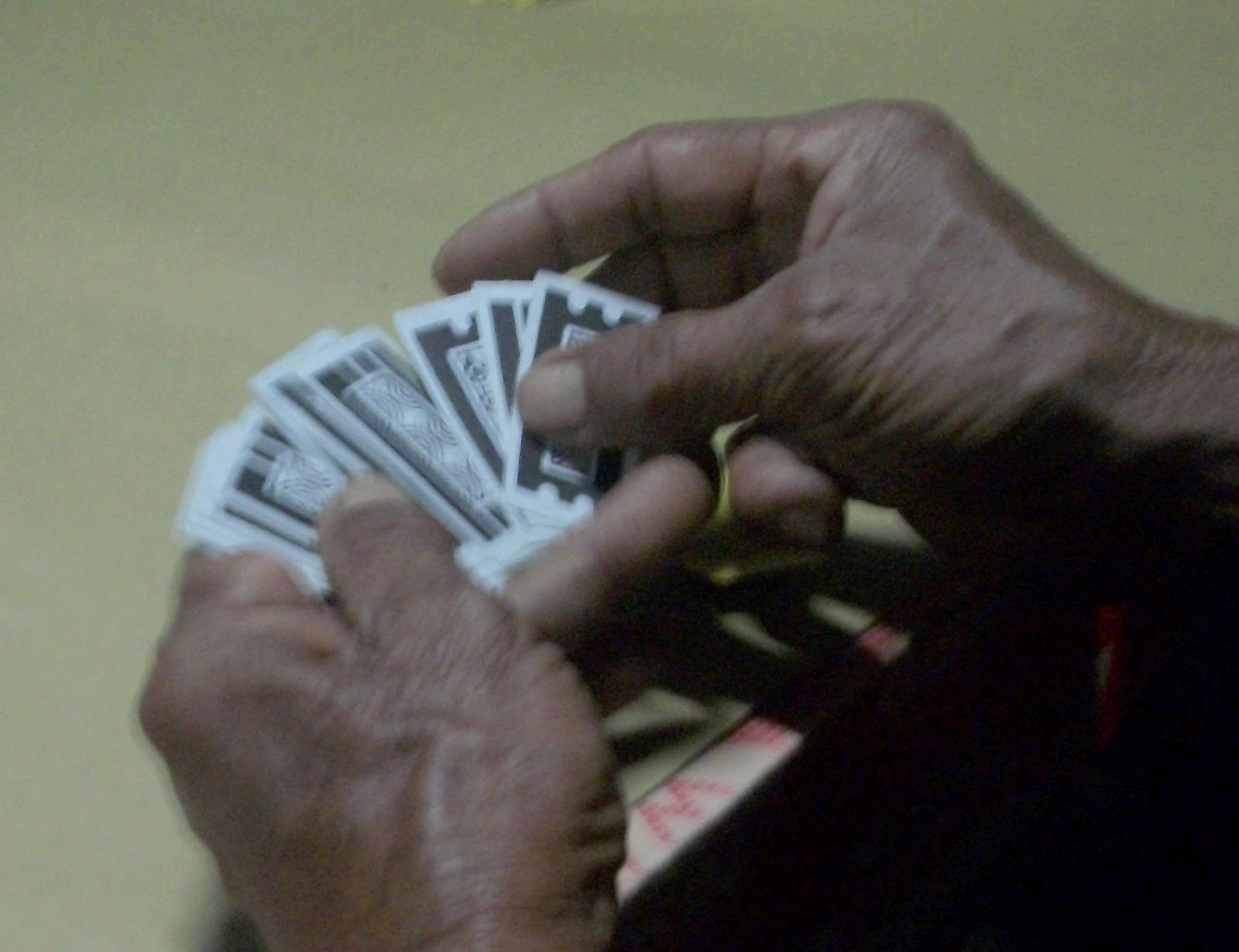 Caleg dan Kepsek Ditangkap Polisi Saat Main Judi