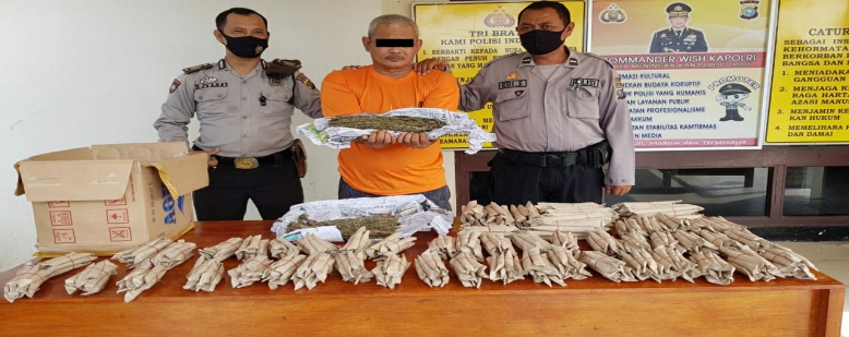 Polres Rohul   amankan pelaku   dugaan tindak pidana narkotika jenis ganja.
