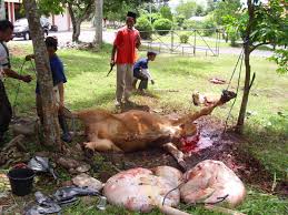     Menyambut Hari Raya Idul Adha 1435H, Pemkab Pelalawan Semarakkan dengan Kegiatan