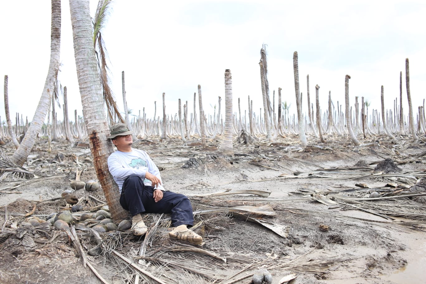 Aktivis Ingatkan: Roadmap Perkelapaan Riau Jangan Lupa Hulu dan Mangrove