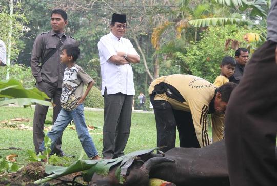 Perayaan Idul Adha, Universitas Riau Potong Hewan Qurban