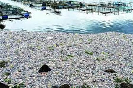 BLH Bengkalis Akan Sosialisasi SE Bupati