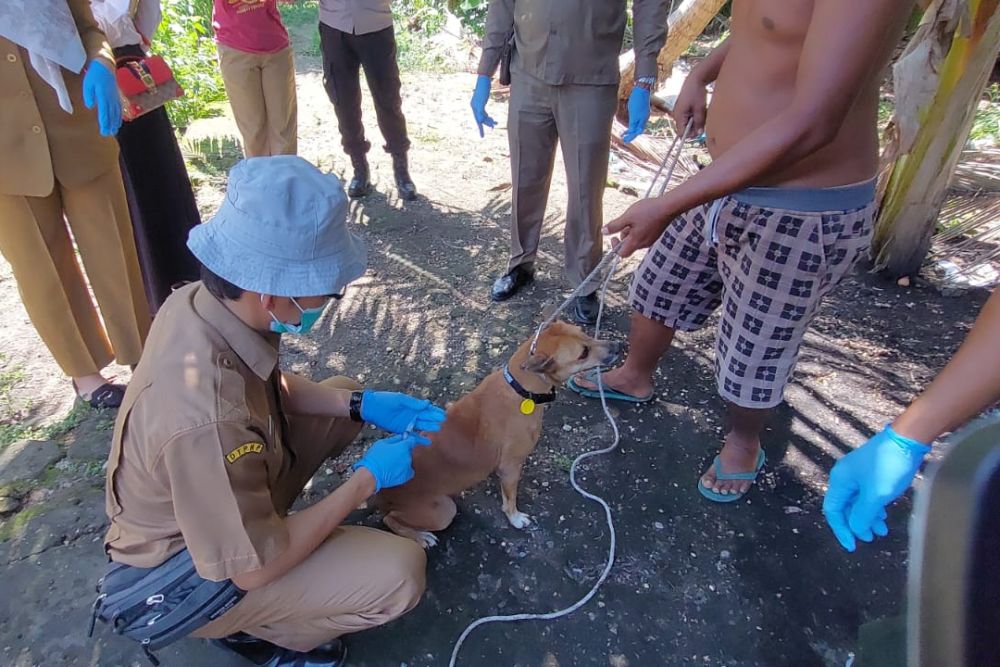 Kadiskes Riau Menyebut 5.550 Vial Vaksin Anti Rabies Sudah di Distribusikan di Kab/Kota