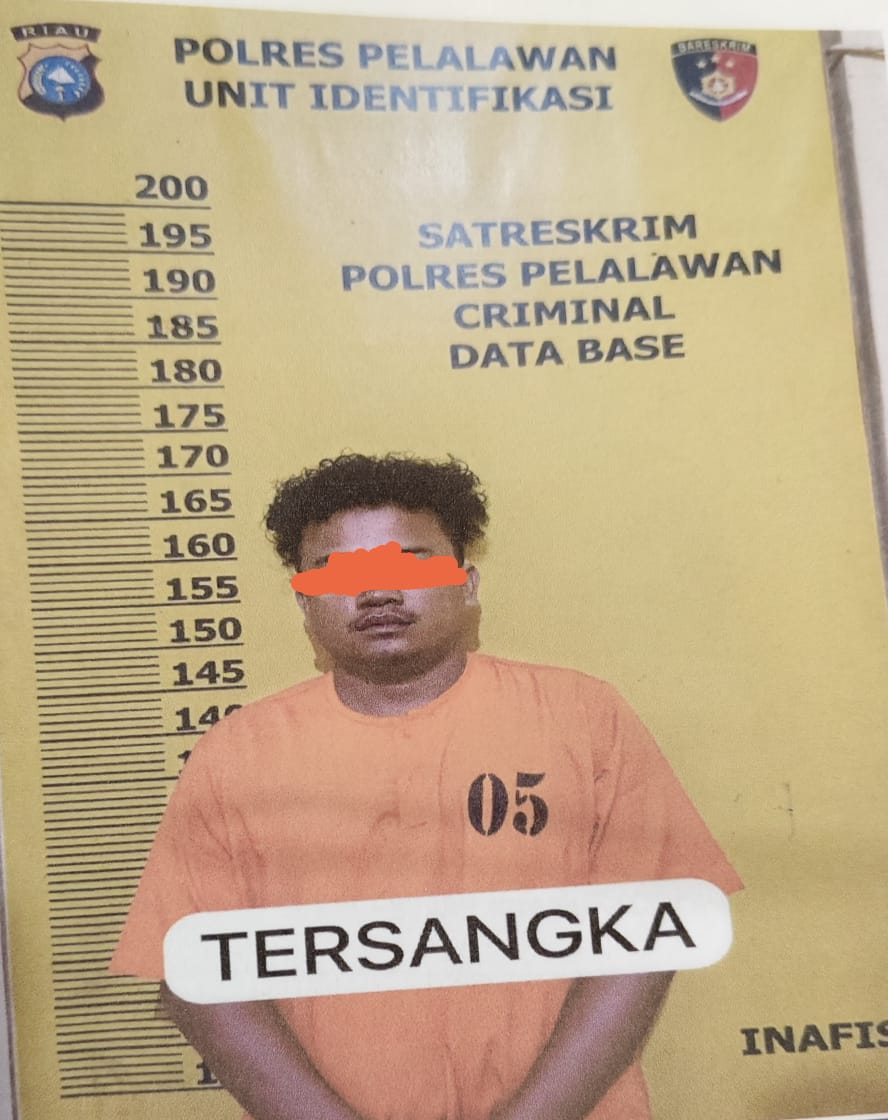 Penjaga RAM Sawit di Kesuma Jadi Tersangka, Penembakan Pencuri Brondolan Berujung Maut