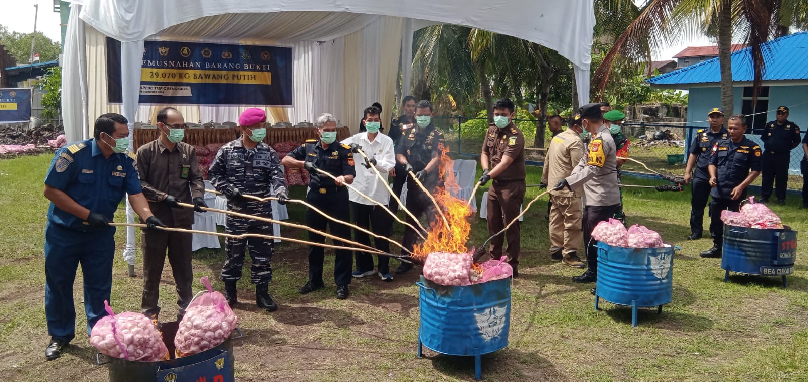 BC Bengkalis Musnahkan 29 Ton Bawang Putih Ilegal