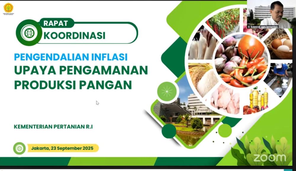 Kementan Siapkan Strategi Baru Produksi Bawang dan Cabai