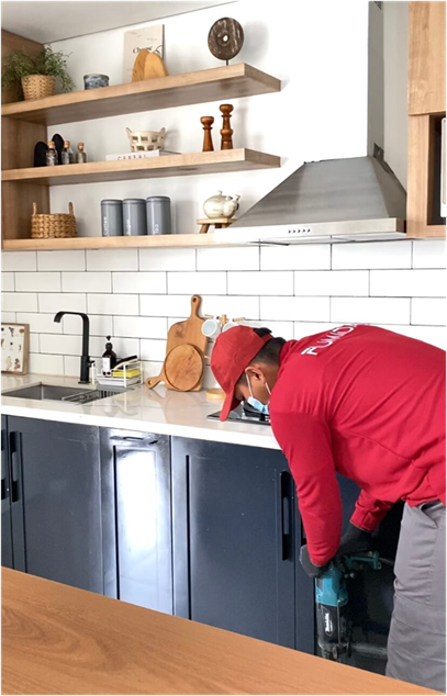 Perbedaan Rayap dan Semut Putih: Edukasi Dasar yang Sering Salah Kaprah