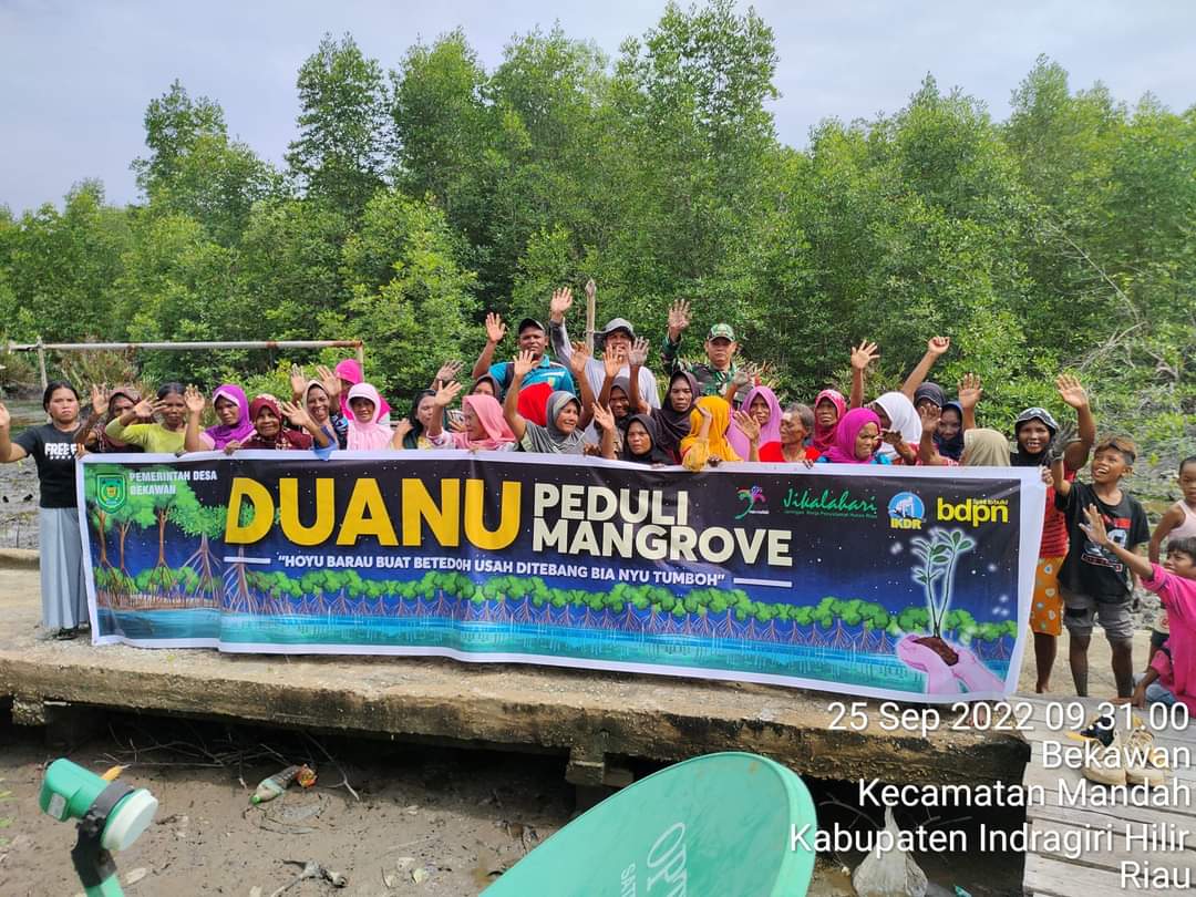 Panggil Aku Duanu: Mangrove, Martabat, dan Peringatan untuk Roadmap Perkelapaan Riau