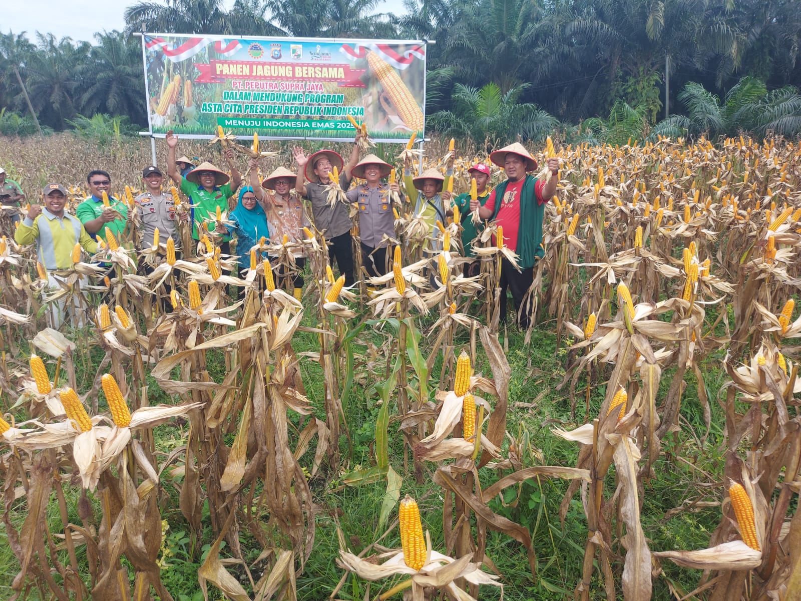 Bukti Nyata Dukungan Ketahanan Pangan Presiden Prabowo