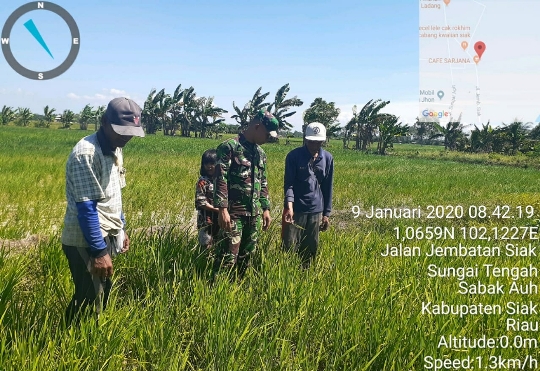 Anggota TNI Bersama Ketua PPL Upayakan Sumur Bor Antisipasi Pertumbuhan Padi
