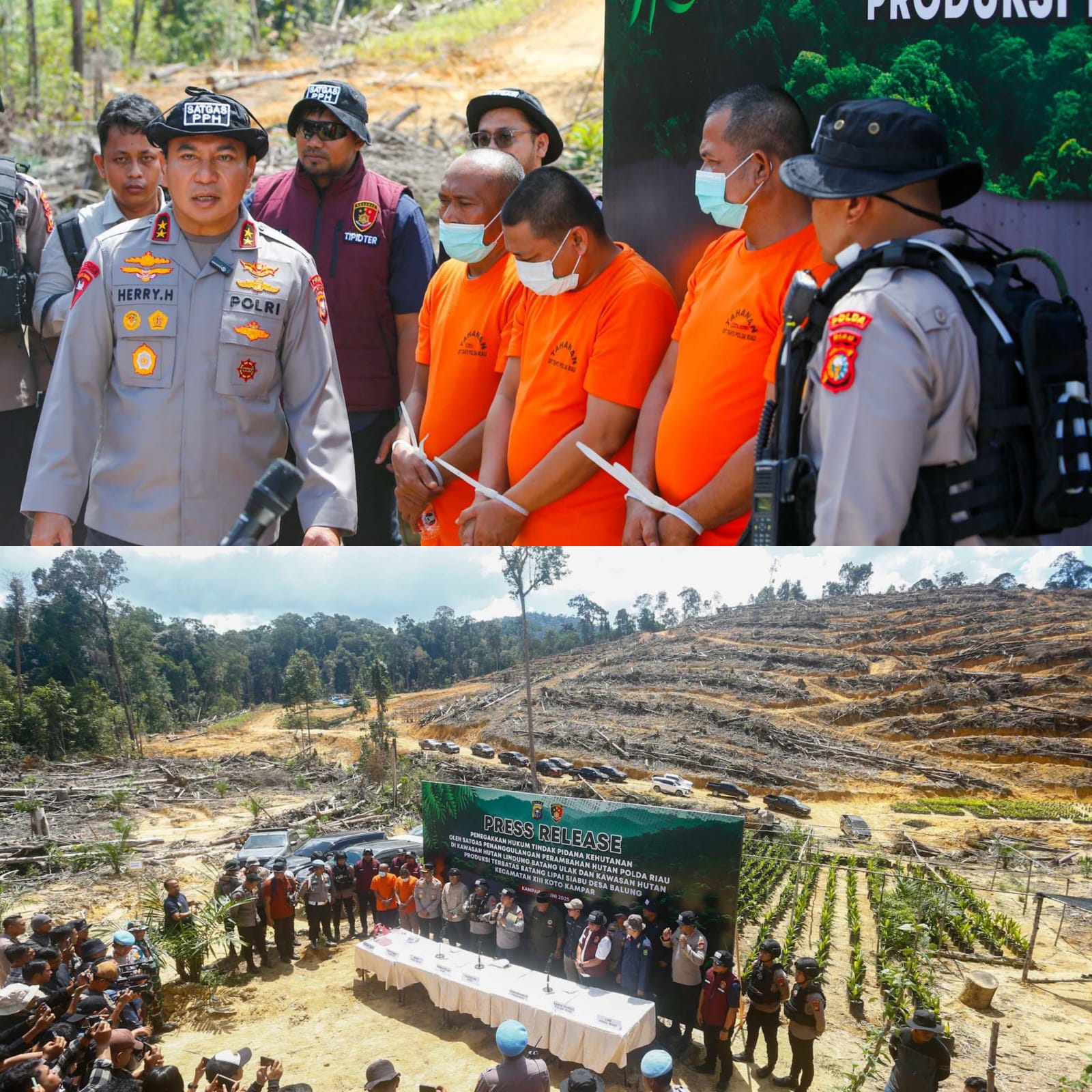 Polda Riau Bongkar Perambahan Hutan Lindung di Kampar, Empat Tersangka Diamankan