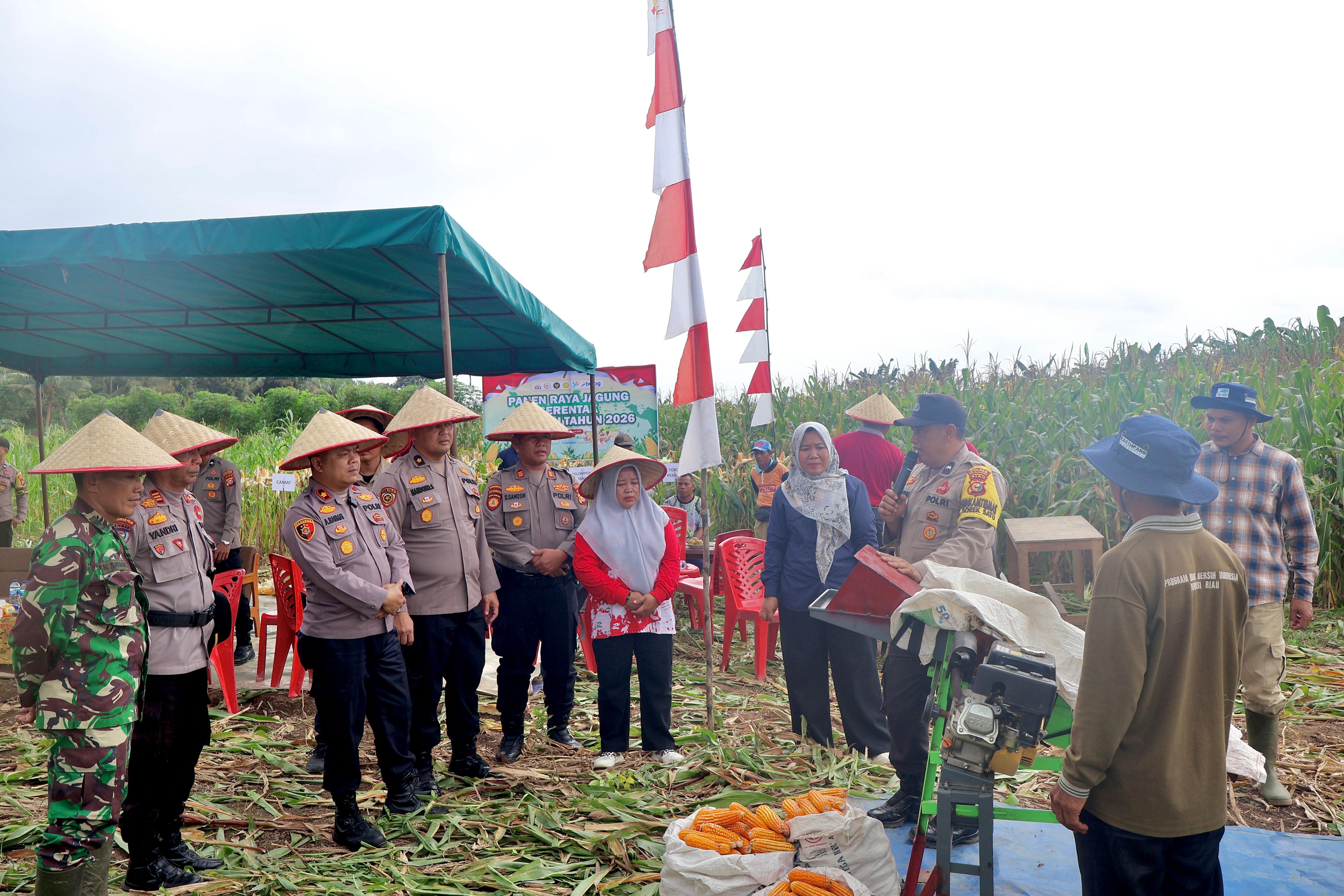 Polres Pelalawan Panen  Jagung