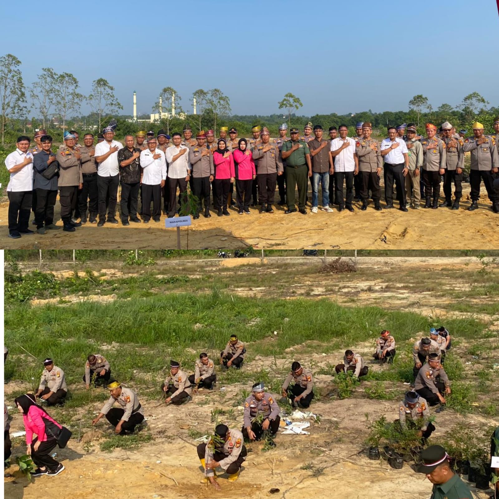 Wilayah Polres Pelalawan  Tanam 3200 Batang Pohon Penghijauan