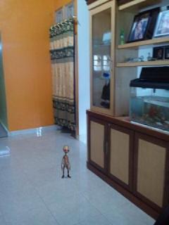 Penampakan Alien di Ponpes Nurul Hidayah Hasil Olah Digital