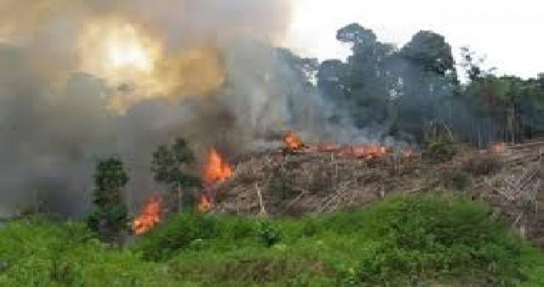 Di Inhu Terdapat Sedikitnya Lima Kecamatan Rawan Karlahut