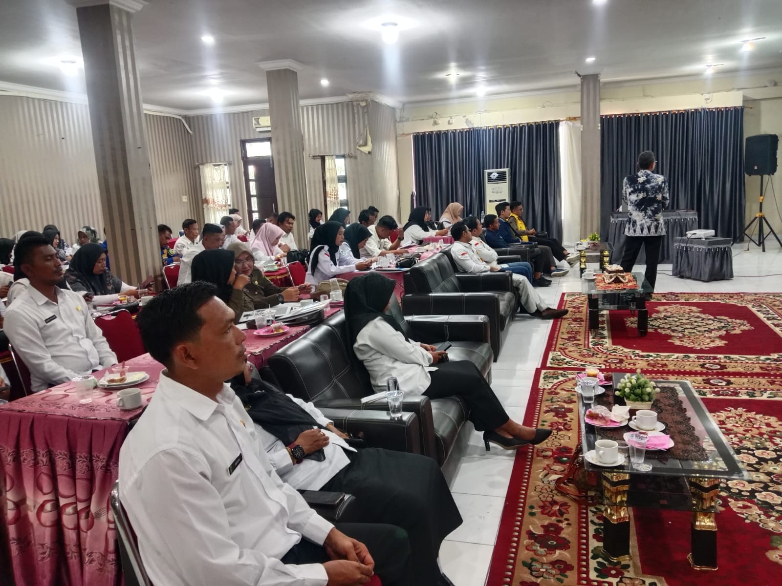 Dinas Perpustakaan dan Arsip Rohil Gelar Pembinaan Kearsipan untuk Ormas dan Parpol