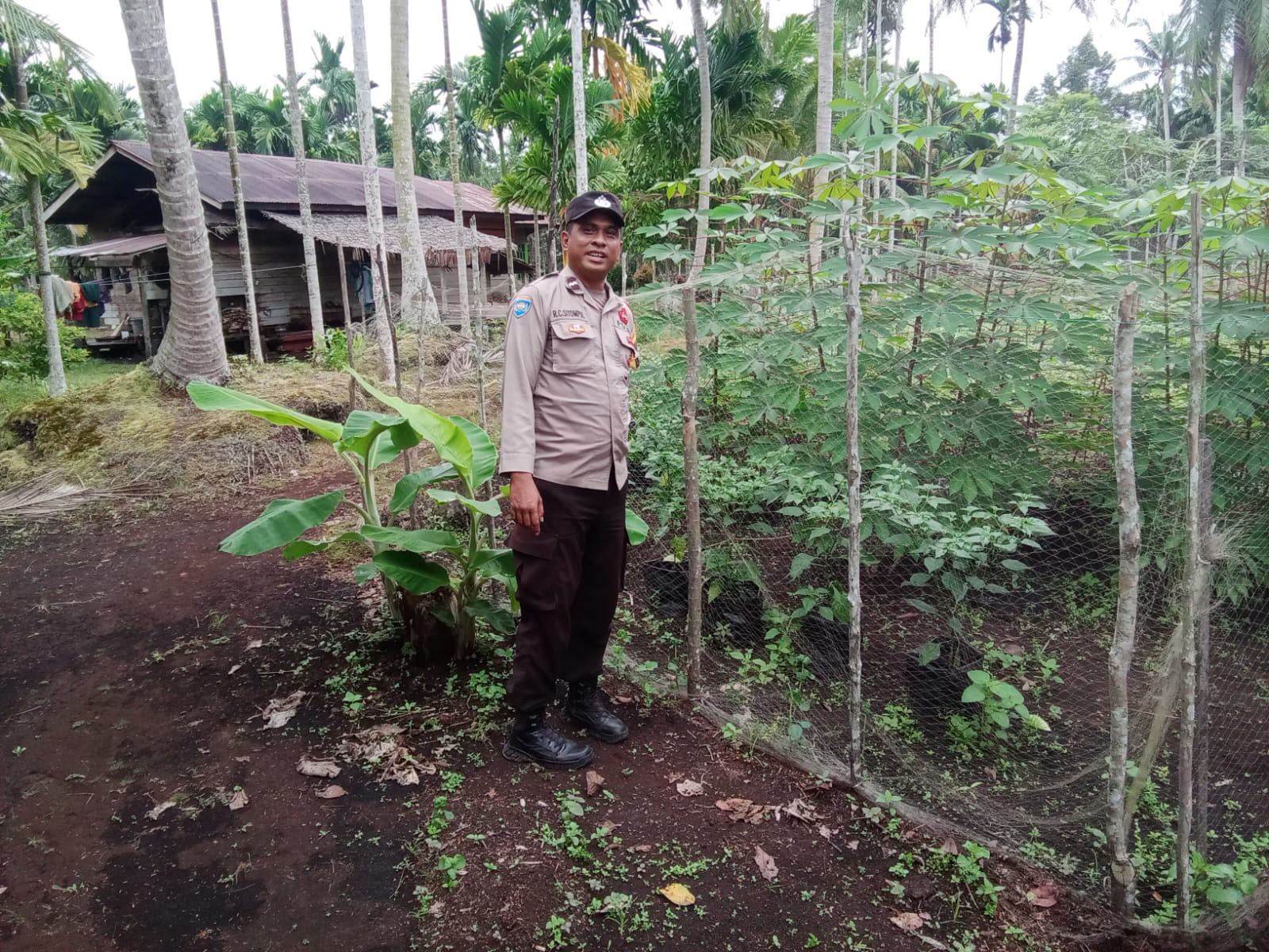 Dukung Swasembada Pangan Nasional, Polsek Merbau Sambangi Petani Umbi di Desa Mayang Sari