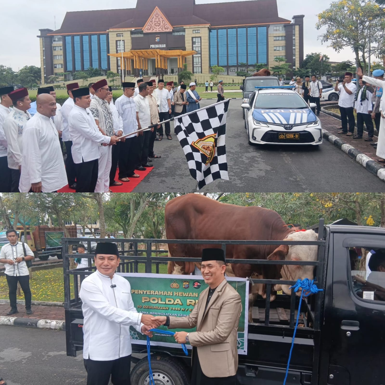 Kapolda Riau Irjen Pol Dr. Herry Heryawan Lepas Ratusan Hewan Kurban: Wujud Kepedulian dan Iman di Hari Raya Idul Adha 1446 H