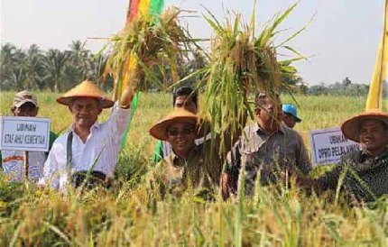 Merefleksi 5 Tahun Kepemimpinan HM Harris, Pembaharuan Menuju Kemandirian Pemerintah dan Masyarakat Kabupaten Pelalawan Dirumus 7 Program Strategis