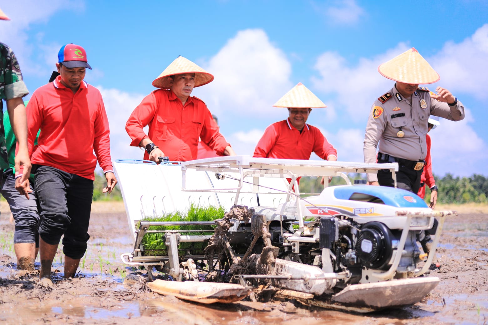 Gerakan Tanam Padi di Kedabu Rapat, Bupati : Ini Upaya Menuju Mandiri Pangan