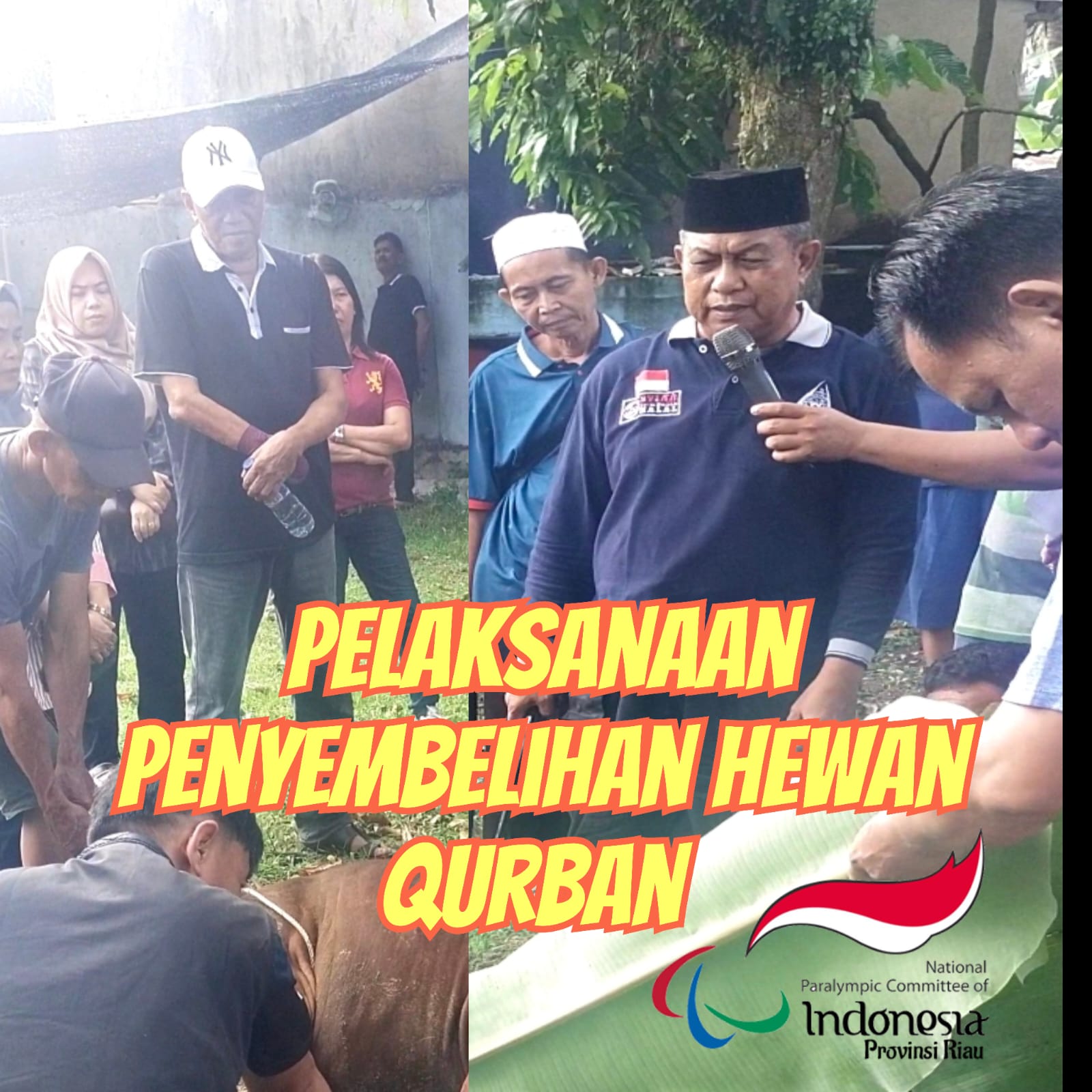 NPC Riau Tebar Semangat Kurban di Bagikan Kepaa Warga
