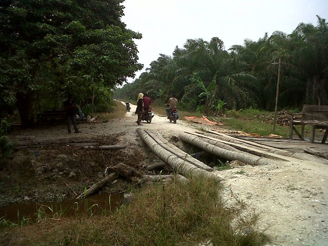 Warga Keritang Masih Gunakan Jembatan Pohon Kelapa