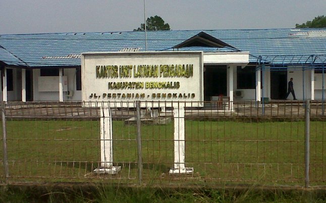 Gesa Lelang Tender, ULP Bengkalis Telah Layangkan Surat ke SKPD