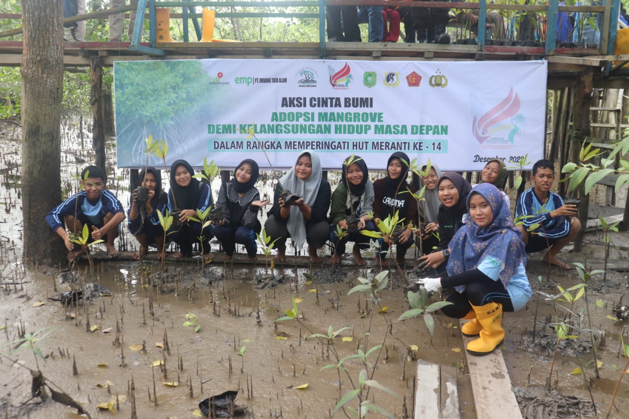 Konsisten Jaga Lingkungan, Mangrove Merambai dan PT. ITA Kolaborasi UPIKA Merbau Taman 500 Bibit