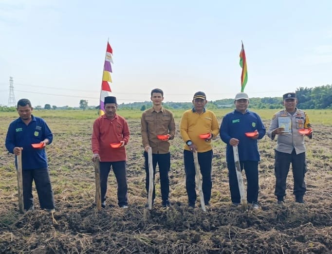 Dukung Swasembada Pangan Nasional, Polsek Rangsang Tanam Jagung Pipil 1 Hektare di Desa Kedaburapat
