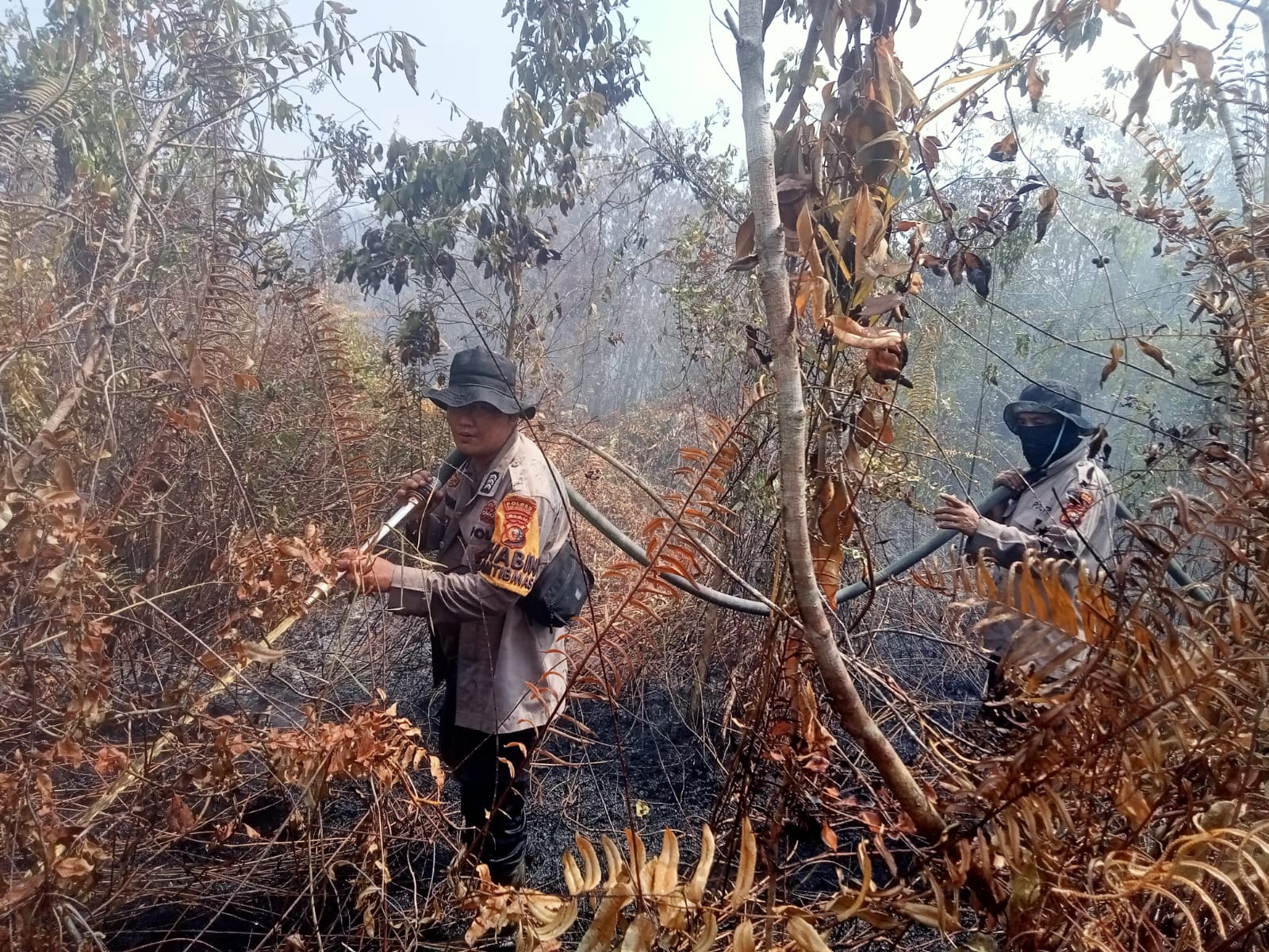 Gerak Cepat Tim Gabungan Berjibaku Padamkan Karhutla di Desa Mekar Sari Merbau
