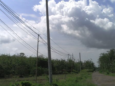 Pembangunan Jaringan Listrik  Didesa Sei Anak Kamal Tak Ada Realisasi