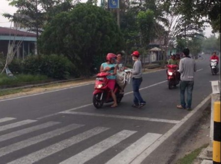 Kosmot: Tentang Karhutla, Kita Perlu Berlajar Dimasa Lalu