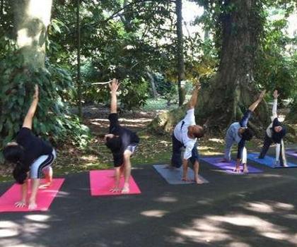 Segarnya Yoga di Kebun Raya Bogor